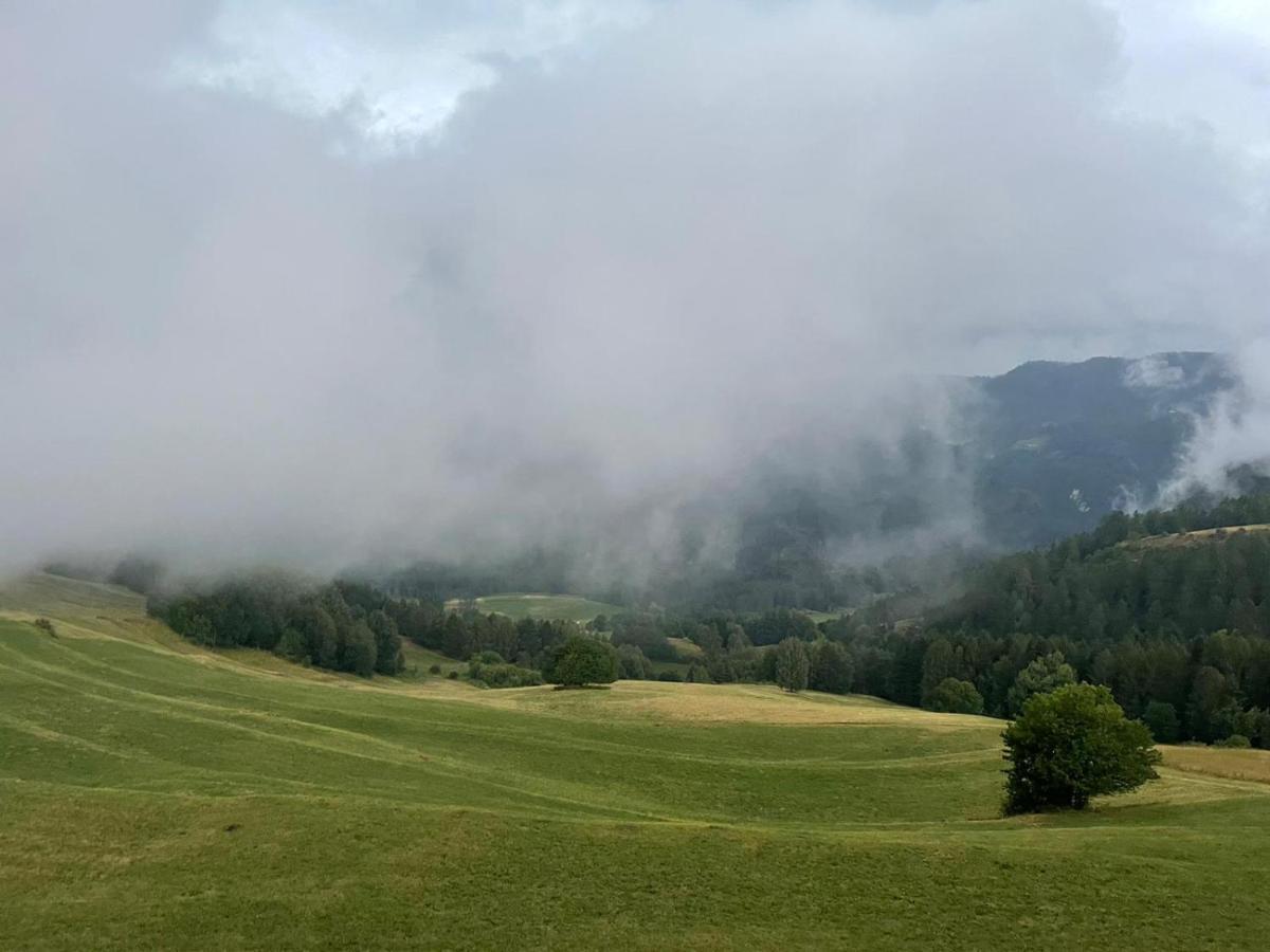 La Casa Di Grace Nella Valle Incantantata Carano  Eksteriør bilde